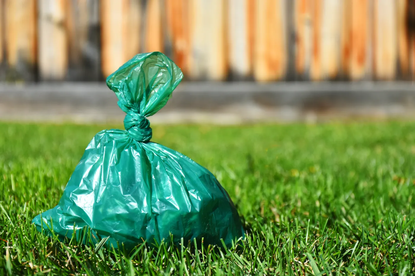 Convenient Pet Waste Cleanup