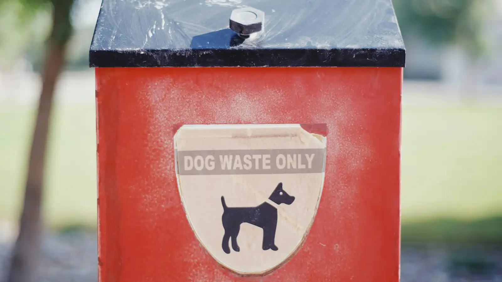 Why Remove Pet Waste?
